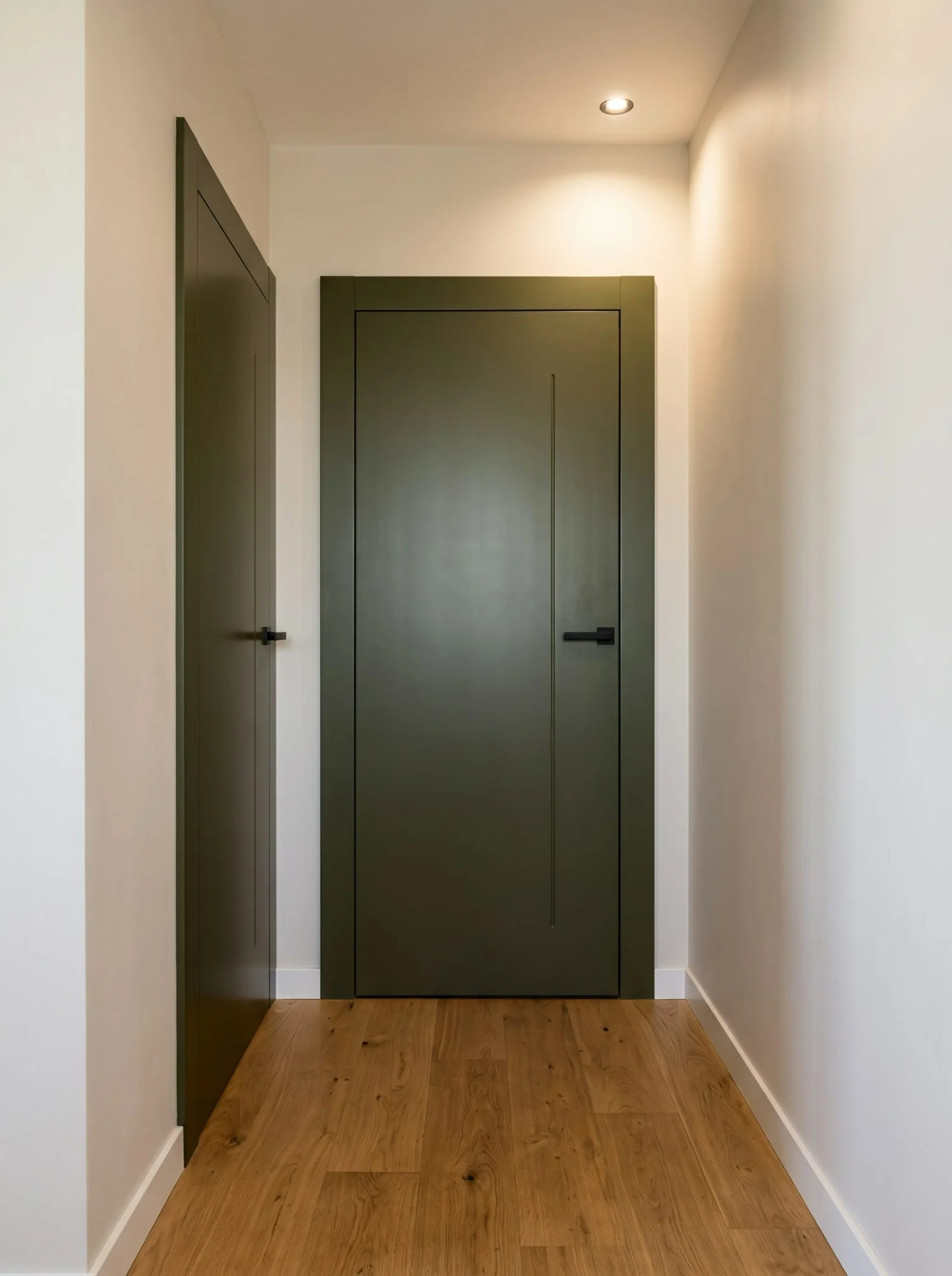 Project — concealed-frame doors in white