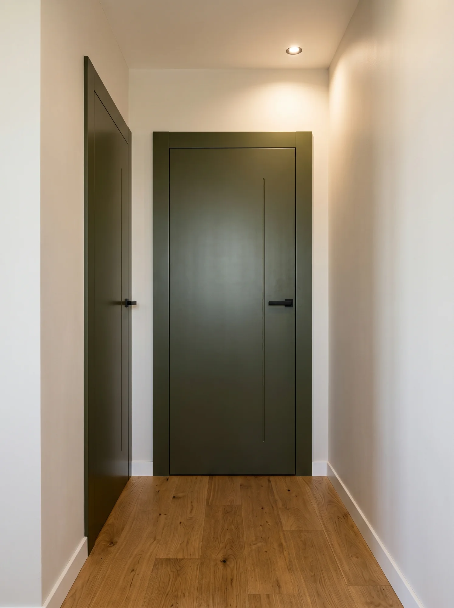 Project — doors in olive